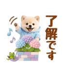 大人可愛い癒しポメラニアンの梅雨スタンプ（個別スタンプ：10）