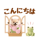 大人可愛い癒しポメラニアンの梅雨スタンプ（個別スタンプ：11）