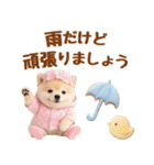 大人可愛い癒しポメラニアンの梅雨スタンプ（個別スタンプ：22）