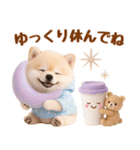 大人可愛い癒しポメラニアンの梅雨スタンプ（個別スタンプ：25）