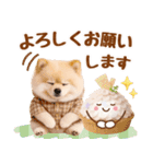大人可愛い癒しポメラニアンの梅雨スタンプ（個別スタンプ：27）
