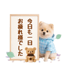 大人可愛い癒しポメラニアンの梅雨スタンプ（個別スタンプ：28）