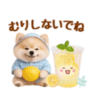大人可愛い癒しポメラニアンの梅雨スタンプ（個別スタンプ：36）