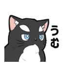 シャチ柄ネコのサカマタさん（個別スタンプ：1）