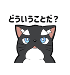 シャチ柄ネコのサカマタさん（個別スタンプ：3）