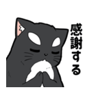 シャチ柄ネコのサカマタさん（個別スタンプ：9）