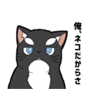 シャチ柄ネコのサカマタさん（個別スタンプ：12）