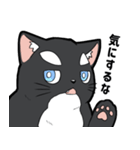 シャチ柄ネコのサカマタさん（個別スタンプ：17）