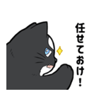 シャチ柄ネコのサカマタさん（個別スタンプ：19）