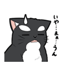 シャチ柄ネコのサカマタさん（個別スタンプ：24）