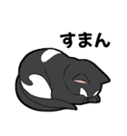 シャチ柄ネコのサカマタさん（個別スタンプ：25）