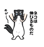 シャチ柄ネコのサカマタさん（個別スタンプ：26）