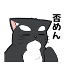 シャチ柄ネコのサカマタさん（個別スタンプ：28）