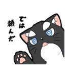 シャチ柄ネコのサカマタさん（個別スタンプ：33）