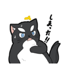 シャチ柄ネコのサカマタさん（個別スタンプ：35）
