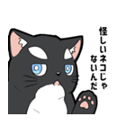 シャチ柄ネコのサカマタさん（個別スタンプ：37）