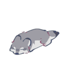 いろいろなオオカミくん（個別スタンプ：10）