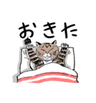 靴下ねこのたびお（個別スタンプ：2）