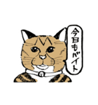 靴下ねこのたびお（個別スタンプ：8）