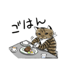 靴下ねこのたびお（個別スタンプ：9）