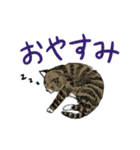 靴下ねこのたびお（個別スタンプ：12）