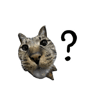 靴下ねこのたびお（個別スタンプ：18）