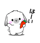 飛び出す！うさうさの気遣いスタンプ（個別スタンプ：1）