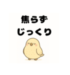 毎日の会話にポジティブを（個別スタンプ：37）