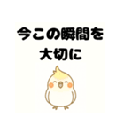 毎日の会話にポジティブを（個別スタンプ：40）
