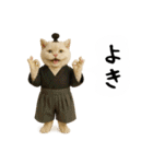 お猫様の吹き出しスタンプ5（個別スタンプ：2）