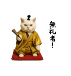 お猫様の吹き出しスタンプ5（個別スタンプ：3）