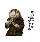 お猫様の吹き出しスタンプ5（個別スタンプ：5）