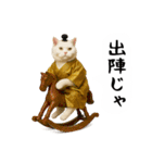 お猫様の吹き出しスタンプ5（個別スタンプ：8）