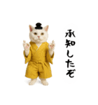 お猫様の吹き出しスタンプ5（個別スタンプ：12）