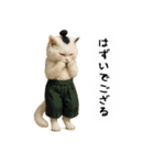 お猫様の吹き出しスタンプ5（個別スタンプ：18）