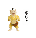 お猫様の吹き出しスタンプ5（個別スタンプ：22）