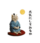 お猫様の吹き出しスタンプ5（個別スタンプ：23）