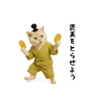 お猫様の吹き出しスタンプ5（個別スタンプ：25）