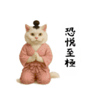 お猫様の吹き出しスタンプ5（個別スタンプ：26）