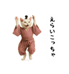 お猫様の吹き出しスタンプ5（個別スタンプ：27）