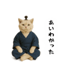 お猫様の吹き出しスタンプ5（個別スタンプ：29）