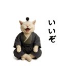 お猫様の吹き出しスタンプ5（個別スタンプ：30）