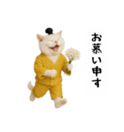 お猫様の吹き出しスタンプ5（個別スタンプ：31）