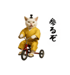 お猫様の吹き出しスタンプ5（個別スタンプ：33）