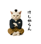お猫様の吹き出しスタンプ5（個別スタンプ：35）