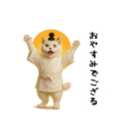 お猫様の吹き出しスタンプ5（個別スタンプ：37）