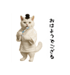 お猫様の吹き出しスタンプ5（個別スタンプ：38）
