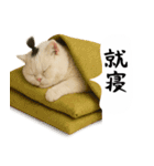 お猫様の吹き出しスタンプ5（個別スタンプ：39）