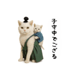 お猫様の吹き出しスタンプ5（個別スタンプ：40）