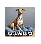 毎日使える！表情ゆたかなモコモコ動物（個別スタンプ：6）